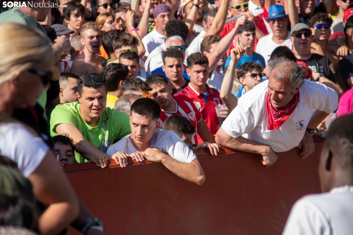 Suelta de la 'Compra' 2025./ Viksar Fotografía