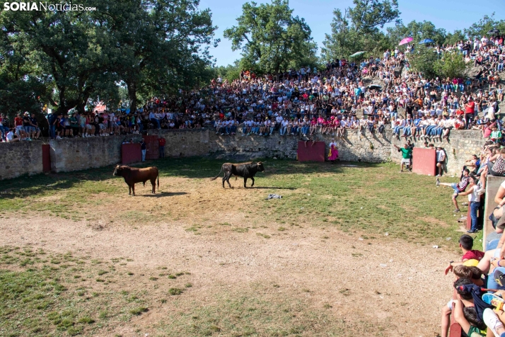 Suelta de la 'Compra' 2025./ Viksar Fotografía