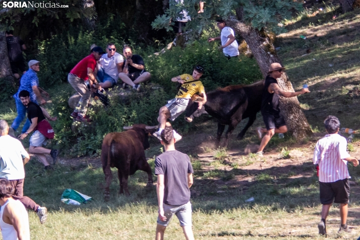 Suelta de la 'Compra' 2025./ Viksar Fotografía