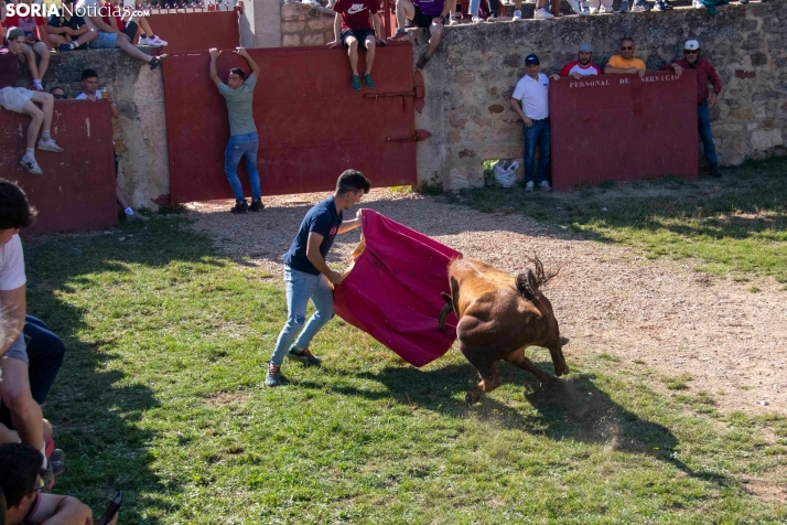 Suelta de la 'Compra' 2025./ Viksar Fotografía