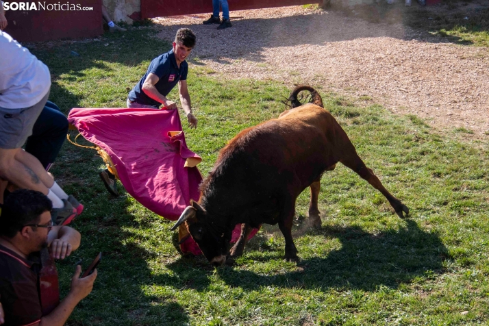 Suelta de la 'Compra' 2025./ Viksar Fotografía