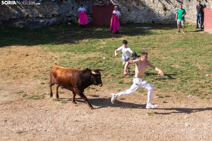 Suelta de la 'Compra' 2025./ Viksar Fotografía