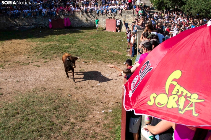 Suelta de la 'Compra' 2025./ Viksar Fotografía