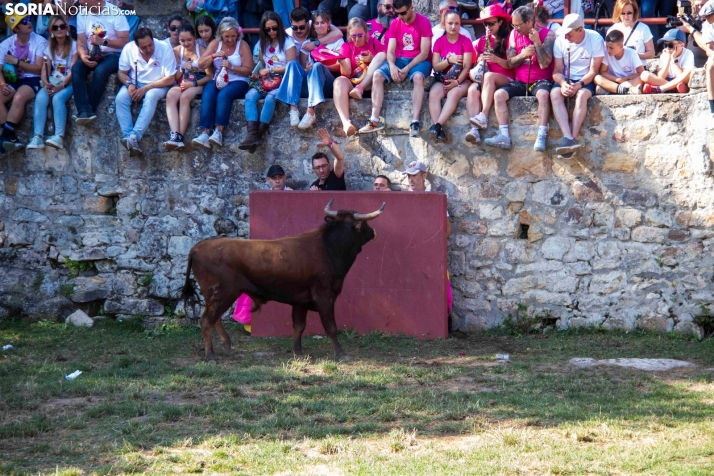 Suelta de la 'Compra' 2025./ Viksar Fotografía