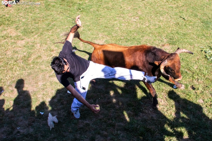 Suelta de la 'Compra' 2025./ Viksar Fotografía