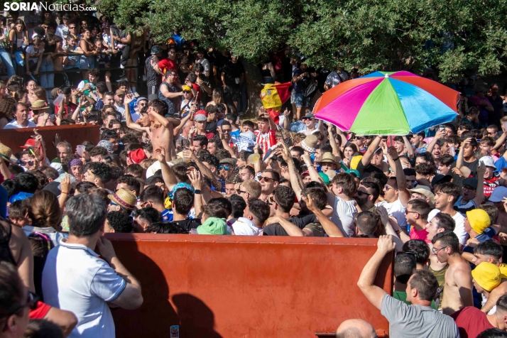 Suelta de la 'Compra' 2025./ Viksar Fotografía