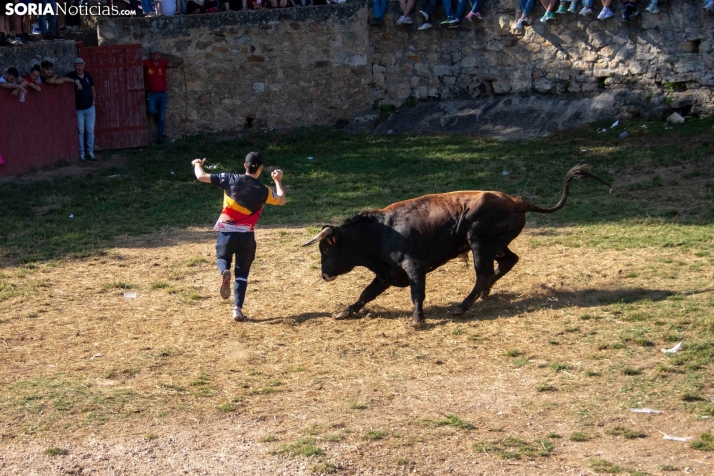 Suelta de la 'Compra' 2025./ Viksar Fotografía