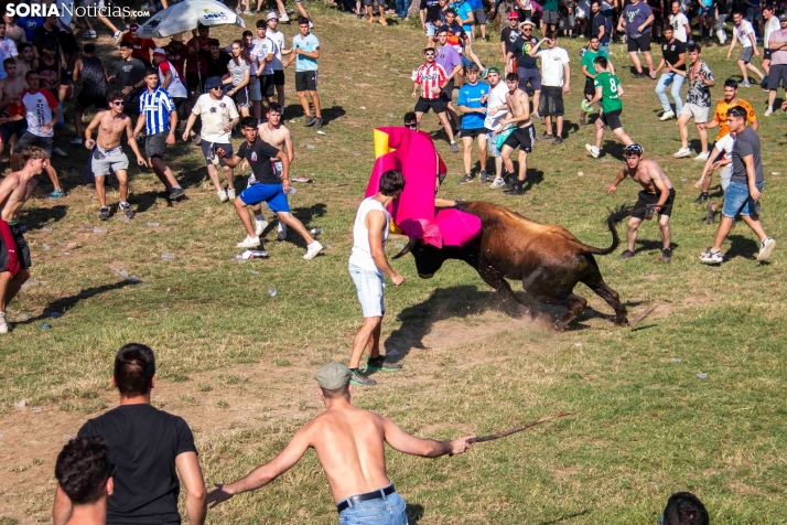 Suelta de la 'Compra' 2025./ Viksar Fotografía