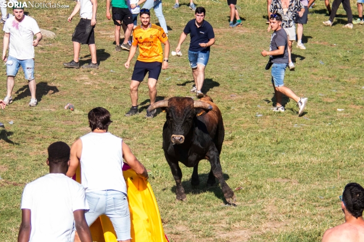 Suelta de la 'Compra' 2025./ Viksar Fotografía