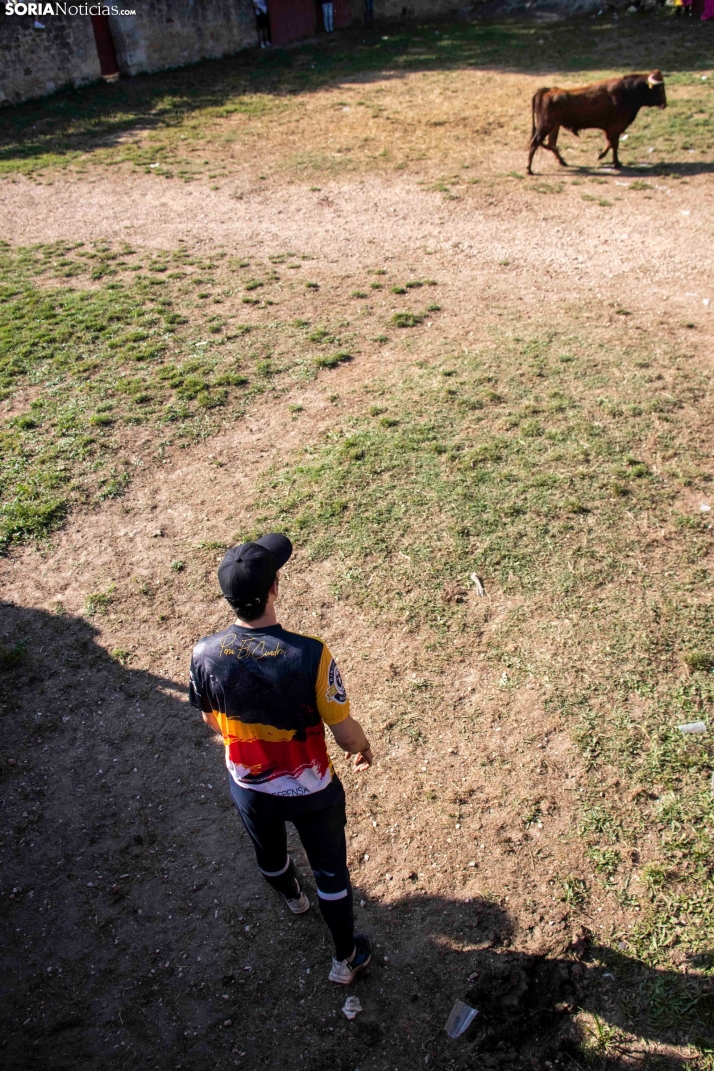 Suelta de la 'Compra' 2025./ Viksar Fotografía