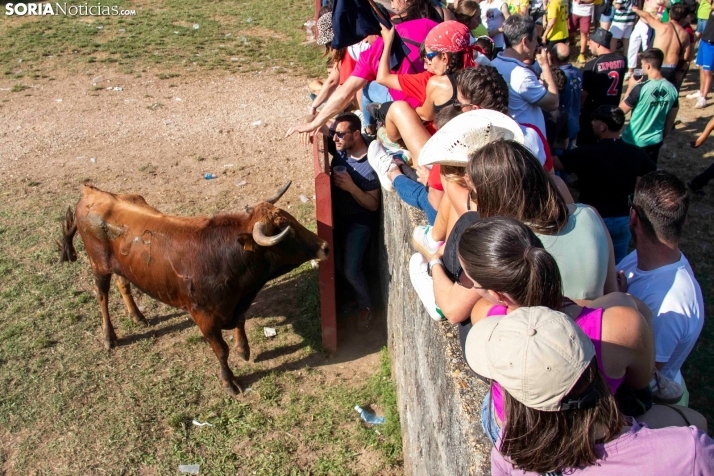 Suelta de la 'Compra' 2025./ Viksar Fotografía