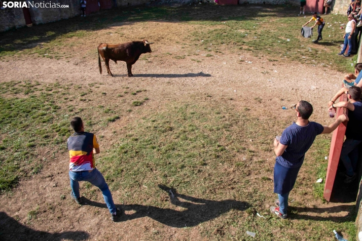 Suelta de la 'Compra' 2025./ Viksar Fotografía