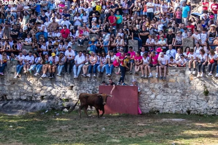 Suelta de la 'Compra' 2025./ Viksar Fotografía