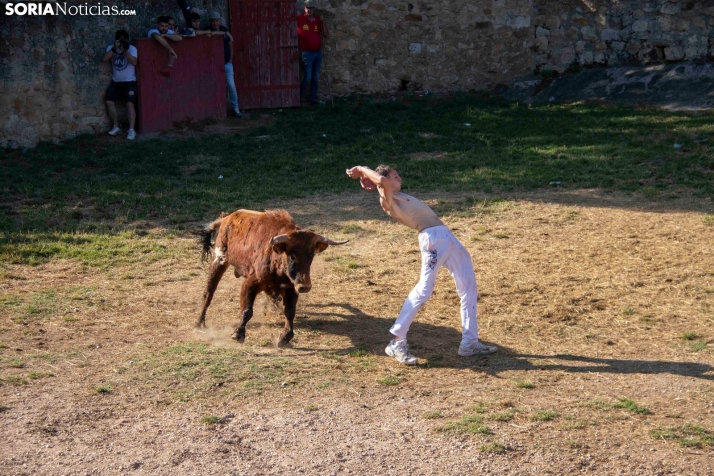 Suelta de la 'Compra' 2025./ Viksar Fotografía