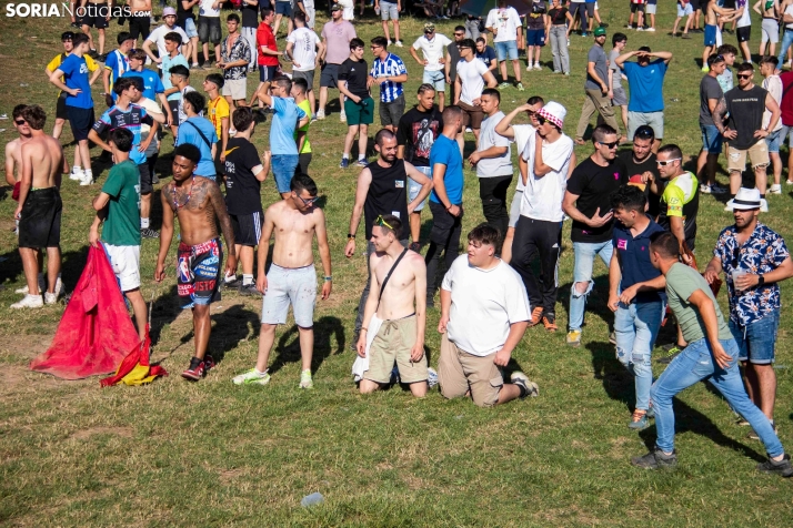 Suelta de la 'Compra' 2025./ Viksar Fotografía