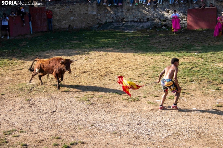 Suelta de la 'Compra' 2025./ Viksar Fotografía