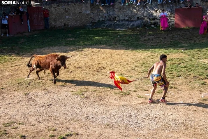Suelta de la 'Compra' 2025./ Viksar Fotografía