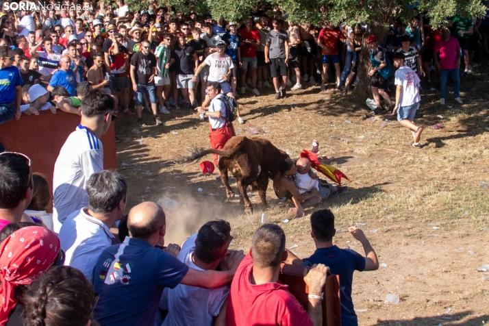 Suelta de la 'Compra' 2025./ Viksar Fotografía