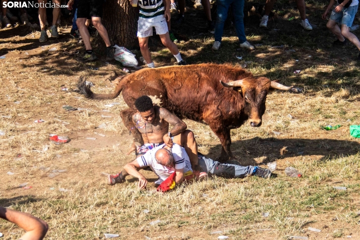 Suelta de la 'Compra' 2025./ Viksar Fotografía