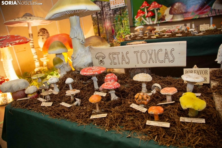 Jornadas Micológicas de San Leonardo