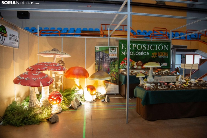 Jornadas Micológicas de San Leonardo