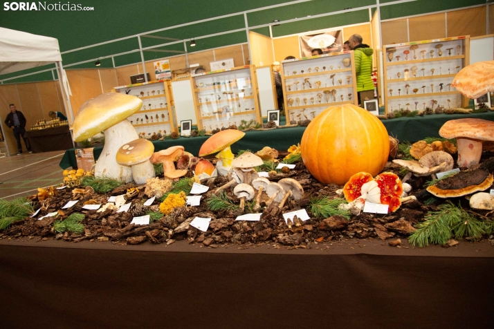 Jornadas Micológicas de San Leonardo