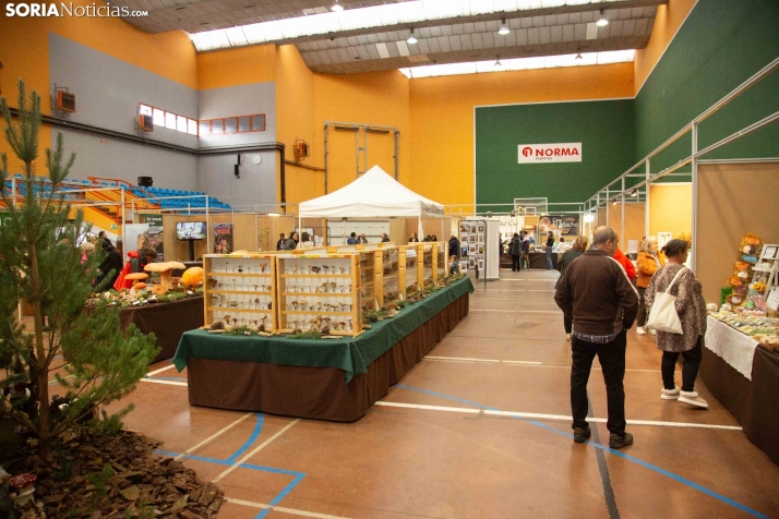 Jornadas Micológicas de San Leonardo