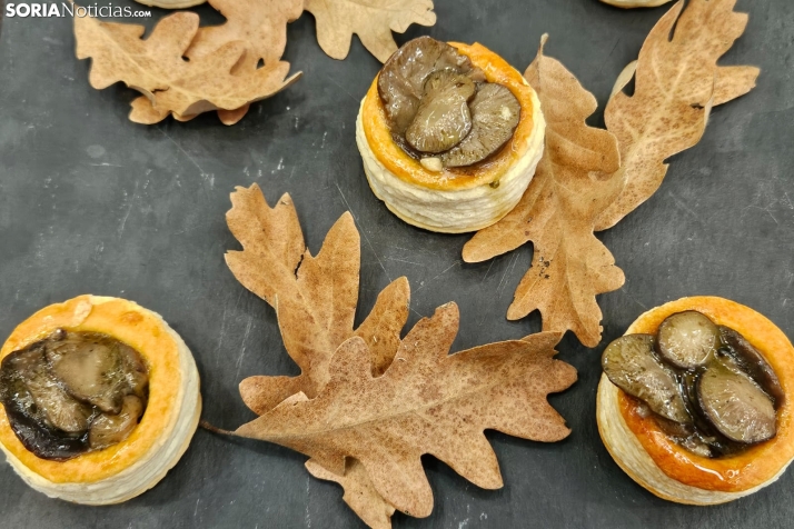 Jornadas Micológicas de San Leonardo