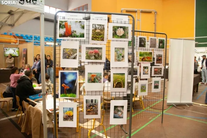 Jornadas Micológicas de San Leonardo