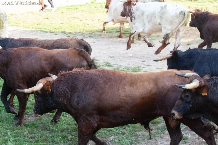 La Comprilla