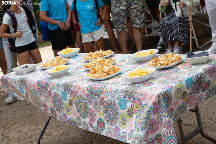 La Gallofa de Golmayo