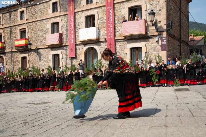 La Pinochada viste de gala a Vinuesa