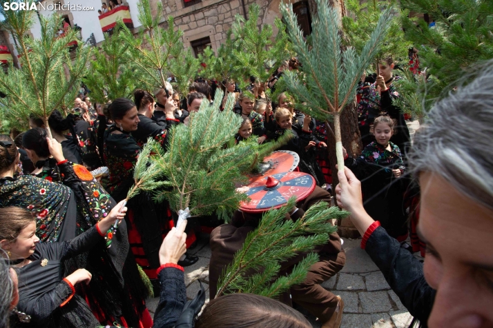 La Pinochada viste de gala a Vinuesa