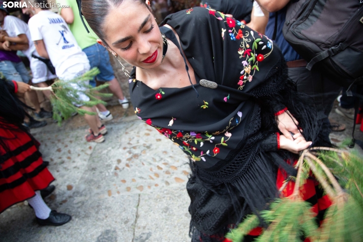 La Pinochada viste de gala a Vinuesa