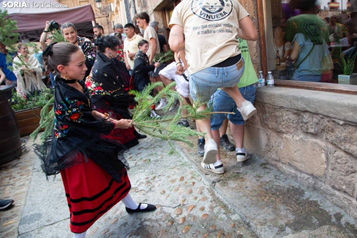 La Pinochada viste de gala a Vinuesa