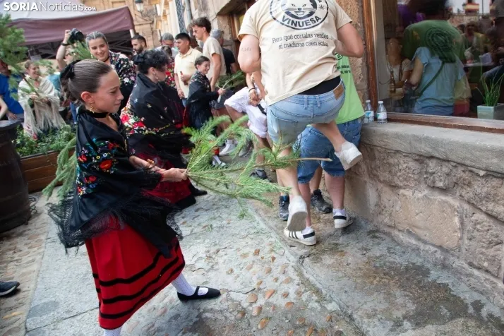 La Pinochada viste de gala a Vinuesa
