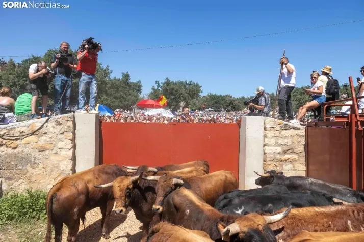 La Saca 2025