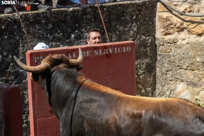 La Saca 2025