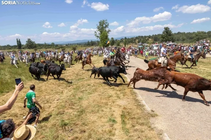 La Saca 2025