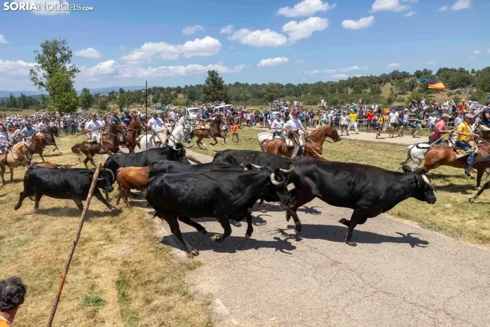 La Saca 2025
