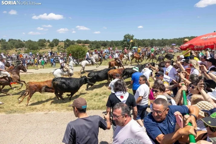 La Saca 2025