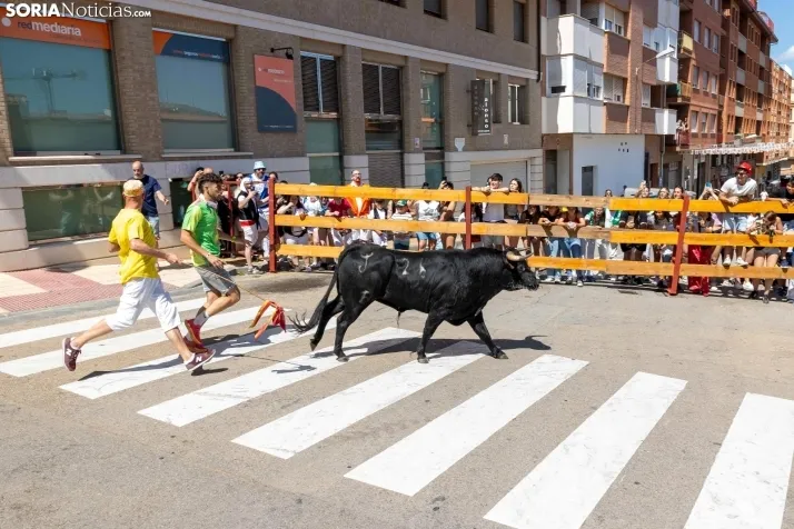 La Saca 2025