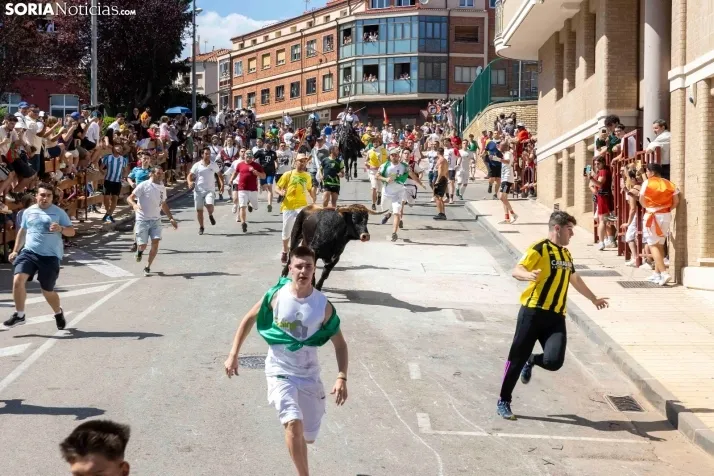 La Saca 2025