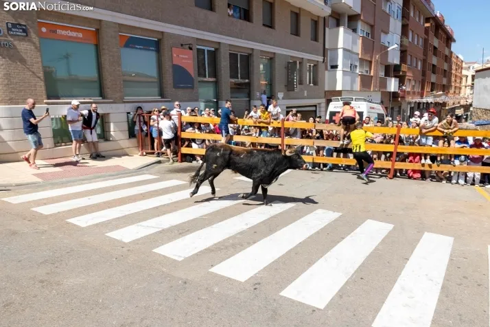 La Saca 2025