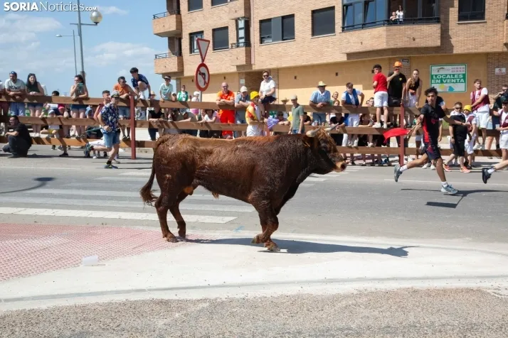 La Saca 2025