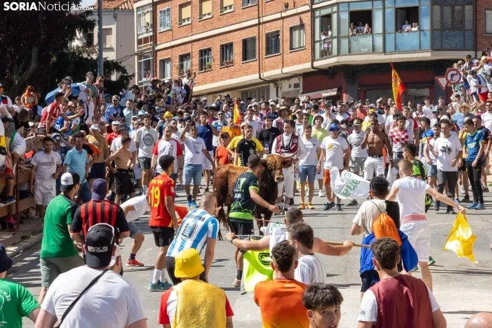 La Saca 2025