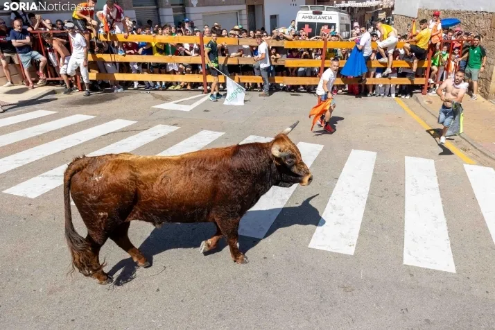 La Saca 2025