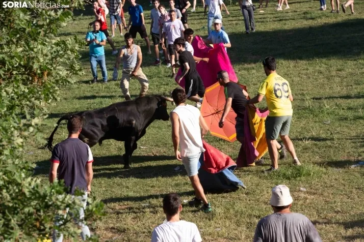 Lavalenguas 2025