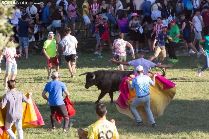 Lavalenguas 2025