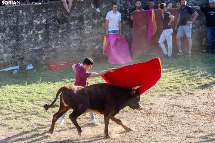 Lavalenguas 2025